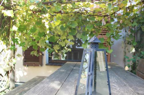 Apartamento Ferienwohnung Mit Garten