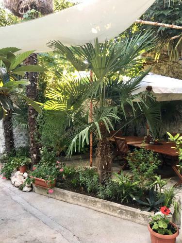 Apartamento Palmera