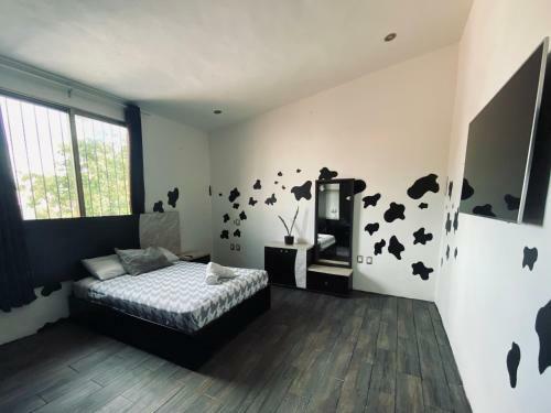 Vista M�gica Chetumal