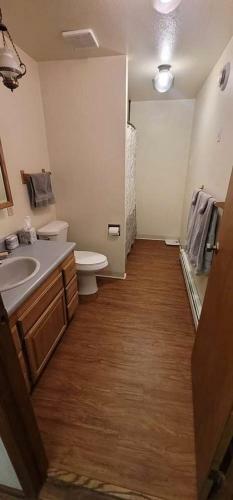 Whole Home, Airstrip/float Access, Aurora Viewing!