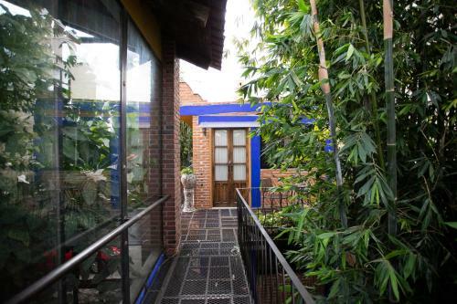 Apartamento Majikal B&B - Barro Negro