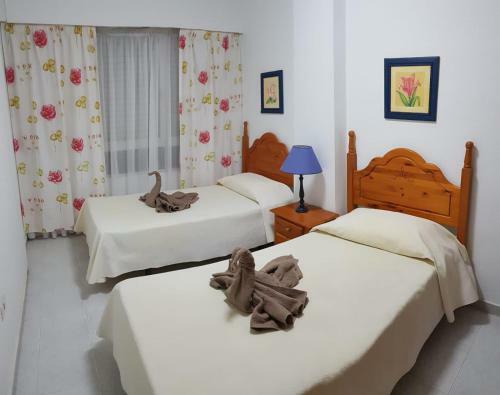 Casa �rika