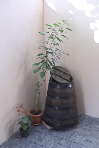 Apartamento Sunflower Studio - Self Checkin - Bbq Garden