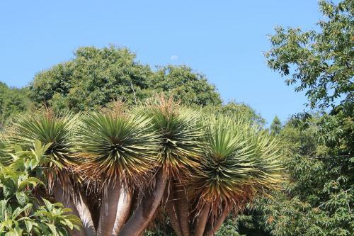 Agroturismo Casa Fita En El Cubo de La Galga