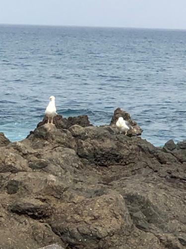 Punta Brava Sun