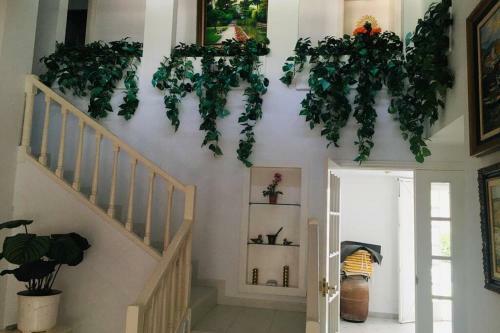 Villa Estilo Californiano Con Piscina