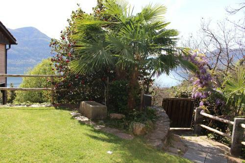 Apartamento Ferienparadies Alla Vite In Brissago