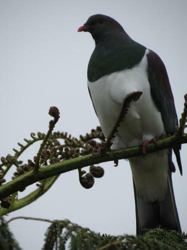 Bed & Breakfast 2b Truffle Cottage