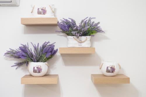 Apartamento Viola Flat 303