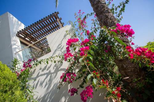Apartamento Penthouse Duplex Overlooking The Mediterranean