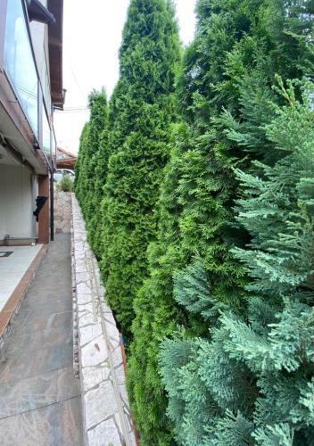 Apartamento Villa Alea