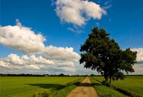 Landhotel Legemeer - Hampshire Classic