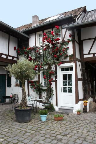 Apartamento Kleine Fachwerkwohnung