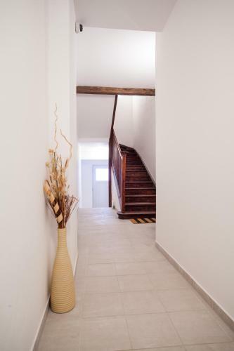 Haas Apartments