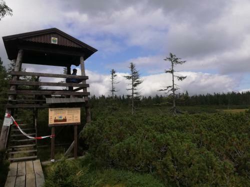 Vakantiehuis Cerny Dul 38