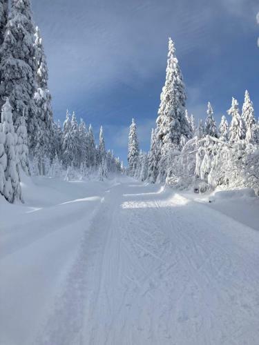 Apartm�ny Rychta?�kovi