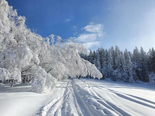 Relax Chalet