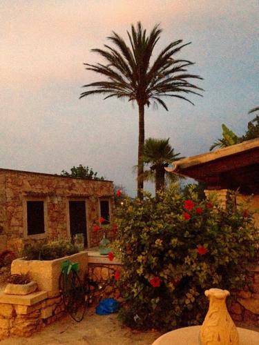 Mol� De Ca'n Orell