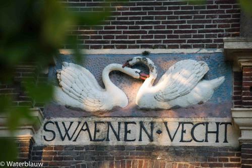 Bed & Breakfast Logement Swaenenvecht