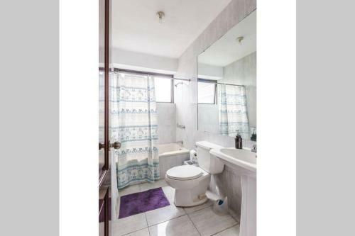 Amazing 2 Bedroom Apartment Zona 14