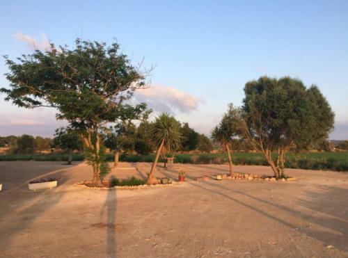 Finca Sa Tanca-rentallorca