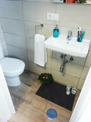 Comfortable Apartment Well Located In The North