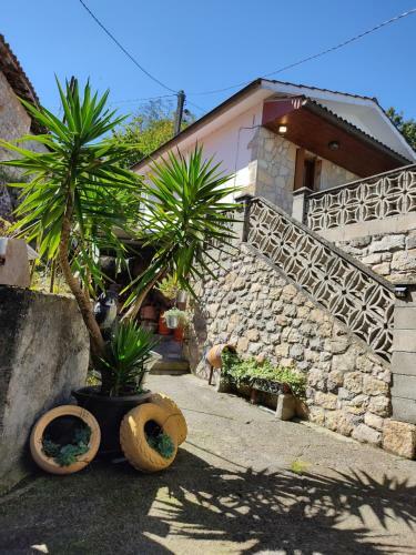 Apartamento �eros de Seg�encu