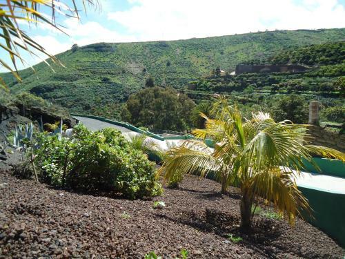 Holidays Flat Finca Oasis -apart N-3