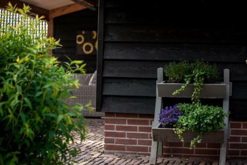 Bed & Breakfast Rheezerstee