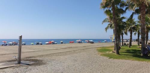 Apartamento Plazamar, 2 - 2� L�nea de Playa