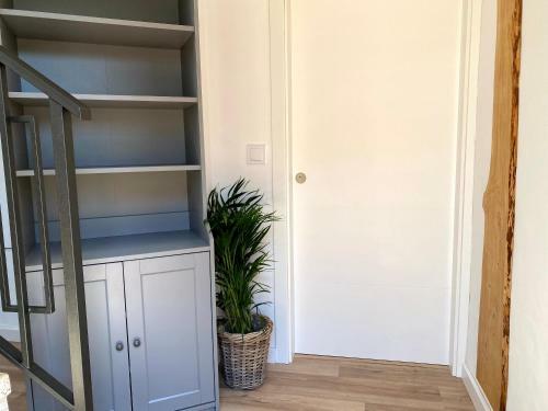 Apartamento Secona Domus Naturalis