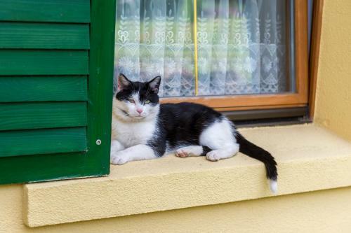 Apartamenty Le?nicz�wka Salamandra