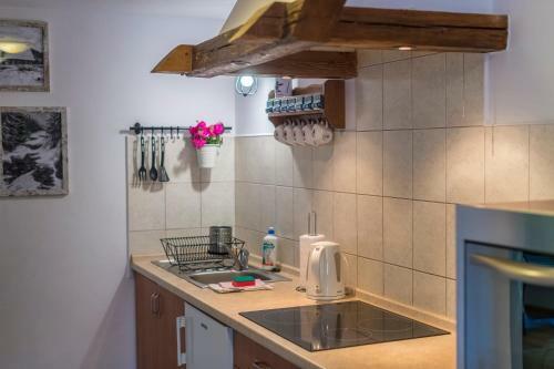 Apartamenty Le?nicz�wka Salamandra