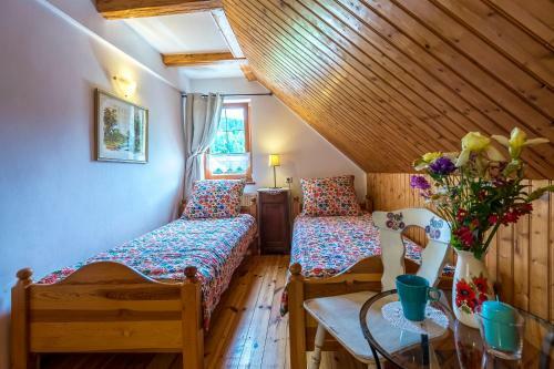 Apartamenty Le?nicz�wka Salamandra