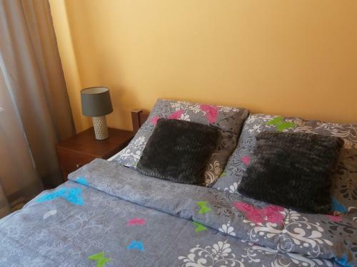 Apartamenty I Pokoje Biala Hortensja