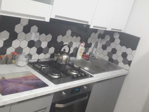 Apartamento Hacjenda Le?ny Zau?ek