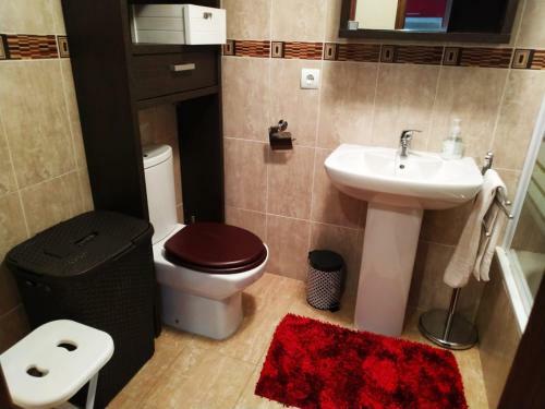 Apartamentos La Fragua, Medio