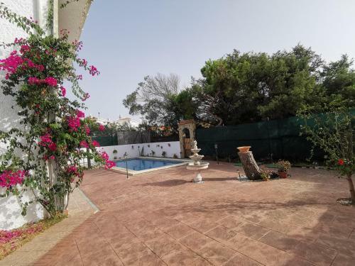 Apartamento Entre Pinos Y Playa