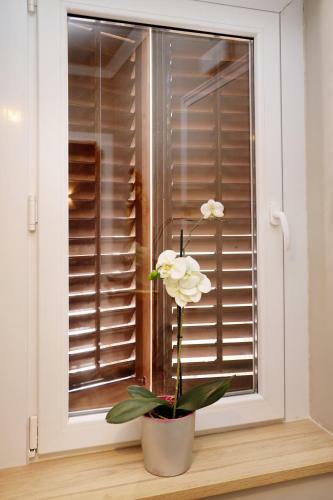 Apartamento Cal Sisquet - Lola