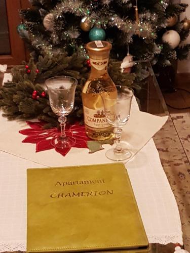 Rezydencja Tatry - Apartament Chamerion 1