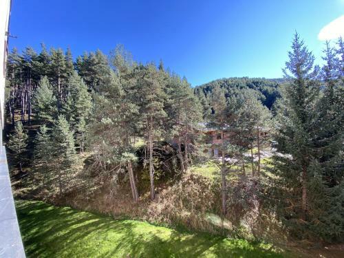 Precioso Apartamento En La Molina