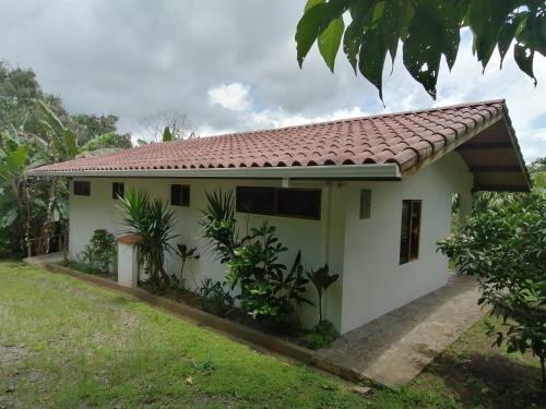Bed & Breakfast La Ceiba Tree Lodge