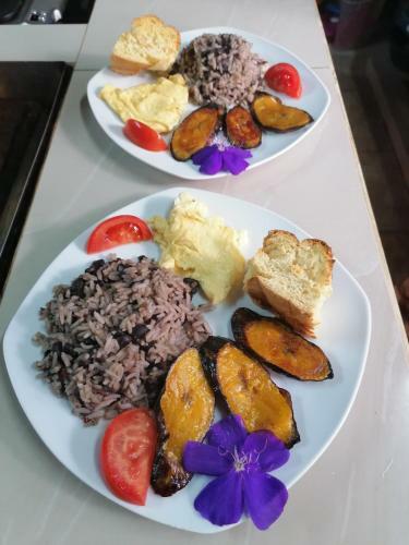 Bed & Breakfast La Ceiba Tree Lodge
