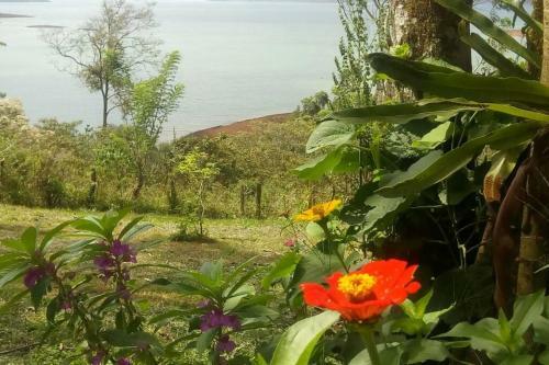 Apartamento Rainbow Place Costa Rica