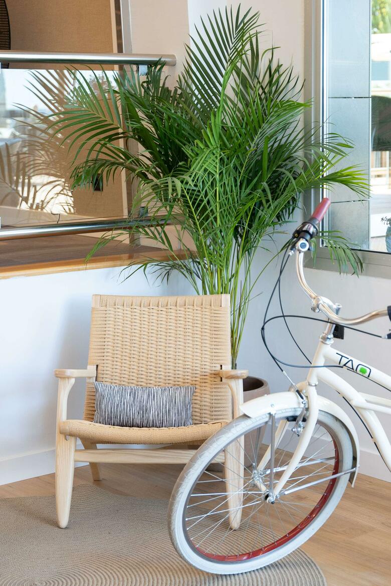 Hotel Sol Costablanca S�lo Adultos