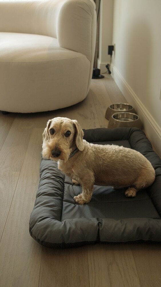 Hotel Mercure Benidorm