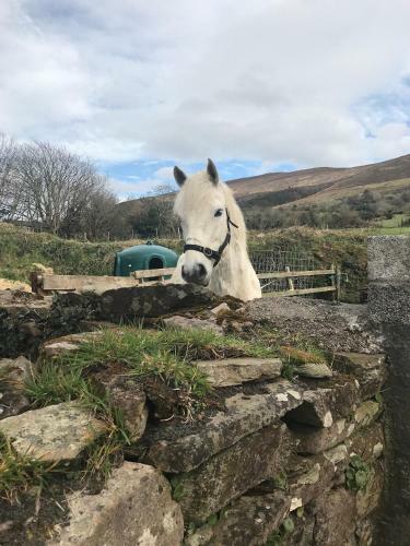 Bed & Breakfast Teac Seain Bnb.