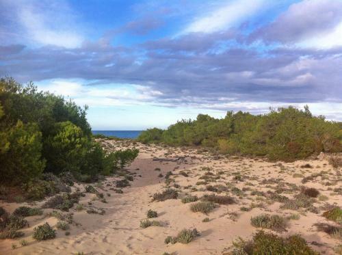 Apartment 100m From The Beach, Son Serra de Marina, Mallorca