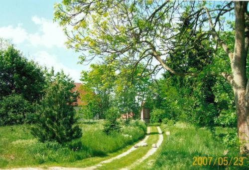 Apartamento Gutshaus Alt-jargenow
