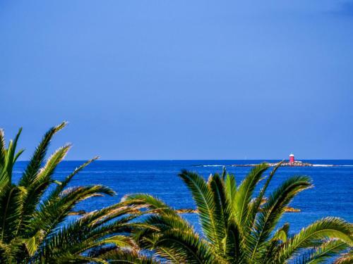 Apartamento Locazione Turistica Buganvillea